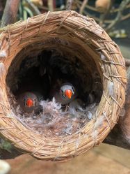 -Zoolung Zoolung动物主题公园(海信广场店)