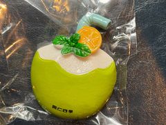 -同仁四季椰子鸡(福田东园总店)