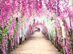 -呀路古热带植物园