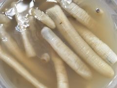 -安海长火土笋冻