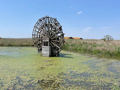 -宁波杭州湾国家湿地公园