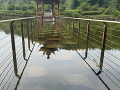 -冶父山国家森林公园