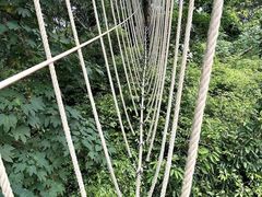 -芦仙山景区-飞越丛林探险乐园