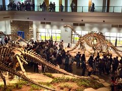 -自贡恐龙博物馆