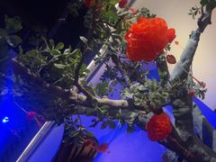 -绿茶餐厅(燕郊永旺店)