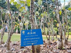 -中国科学院西双版纳热带植物园