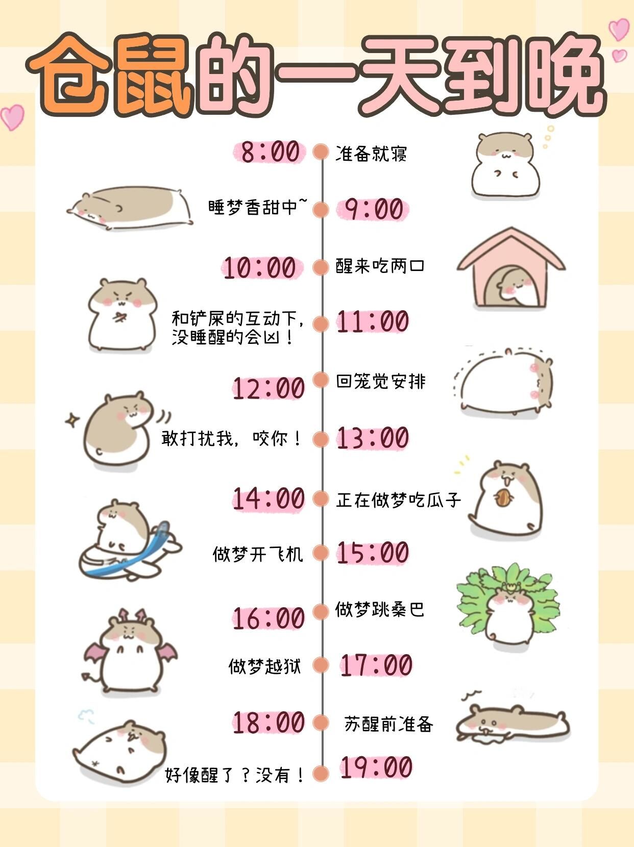 仓鼠为什么一直睡觉没精神为什么在线 仓鼠为什么一直睡觉没精神为什么在线