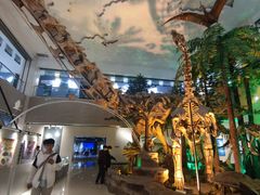 -甘肃地质博物馆