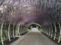 -同里国家湿地公园
