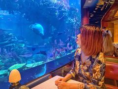 -迪拜帆船酒店海底餐厅