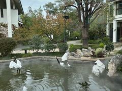 -广富林宰相府酒店·水云间