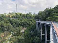 -金鸡山公园