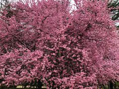 -河南省黄河迎宾馆