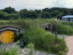 -济州森林小火车生态公园