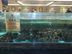 水产区-西贝海鲜汇(槐安路店)