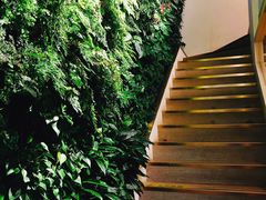 大堂-Peet's Coffee皮爷咖啡(大学路店)