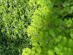 -国家植物园南园