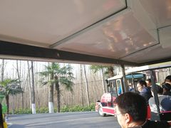 -合肥滨湖国家森林公园