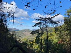 -天女山森林公园