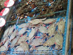 -将相和·海鲜蒸饺大连菜