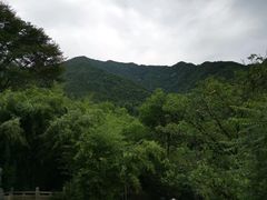 -王顺山国家森林公园