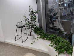 -ANGELHAND