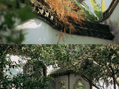-上海醉白池公园
