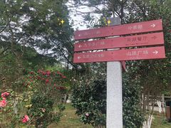 -广州市帽峰山景区