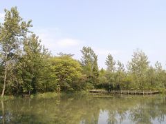 -溱湖国家湿地公园