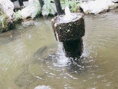 -鱼桥巷·美学川菜