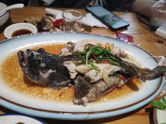 -鑫阿强海鲜大排档·老厦门特色菜(中山路店)