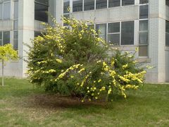 -东北大学(南湖校区)