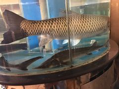 海鲜池-依兰国际酒店-颐和轩中餐厅