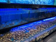 -透明思烤·自助烤肉海鲜火锅(东部星悦天地店)