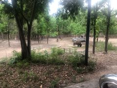 -清迈夜间动物园