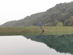 -龙坞茶村