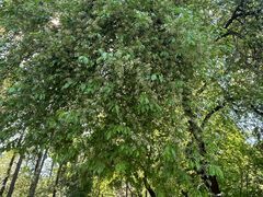 -沈阳植物园