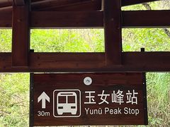-武夷山风景名胜区-玉女峰
