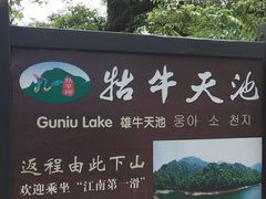 -祁门牯牛降观音堂风景区