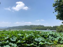 -湖畔居茶楼(湖滨店)