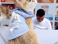 -中粮·祥云小镇
