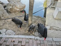 -鄂尔多斯野生动物园