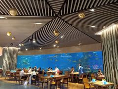 -涛·海底餐厅·美人鱼·自助餐·海底隧道(三亚海棠湾洲际度假酒店)