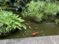 -广州兰圃