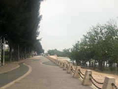 -宝安西湾红树林湿地公园