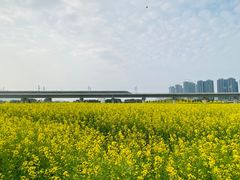 -光明小镇欢乐田园