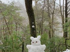 -龙苍沟森林公园