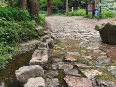 -龙井壹号·茶缘山景宴(龙井村店)