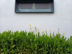 -青果巷历史文化街区