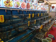 -渔中舟海鲜大排档(普陀沈家门店)